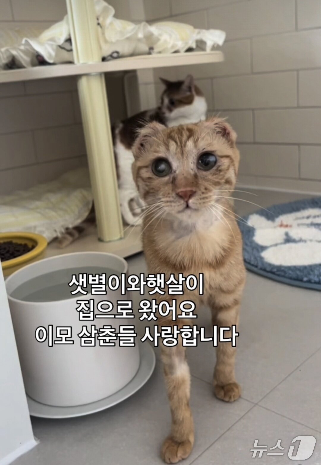 본문 이미지 - 디어레이 인스타그램 ⓒ 뉴스1