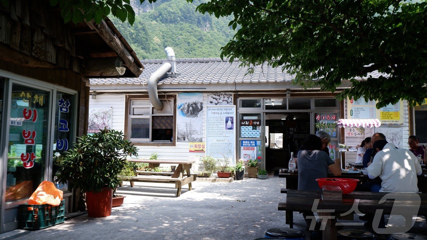 본문 이미지 - 울릉도 나리분지에 자리한 산채정식 전문점ⓒ 뉴스1 윤슬빈 관광전문기자