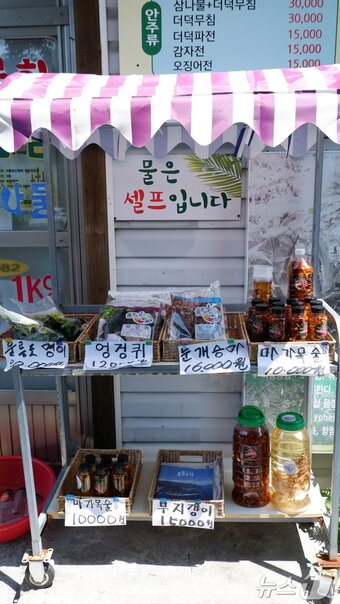 본문 이미지 - 울릉도 현지 식당에서 쉽게 볼 수 있는 나물 파는 좌판대ⓒ 뉴스1 윤슬빈 관광전문기자
