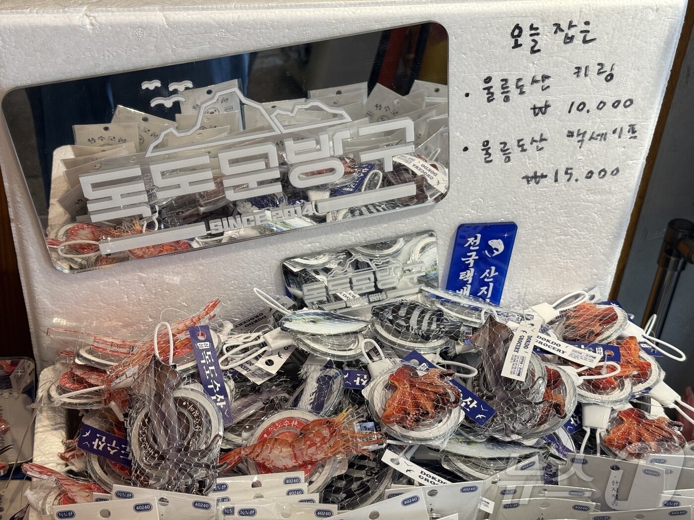 본문 이미지 - 독도문방구에서 지역의 감성을 살린 굿즈를 만나볼 수 있다.ⓒ 뉴스1 윤슬빈 관광전문기자