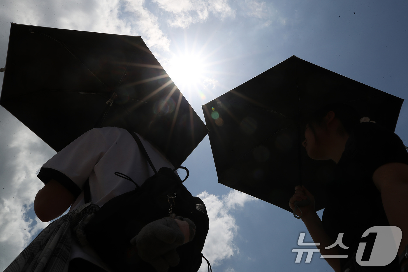 (경산=뉴스1) 공정식 기자 = 경북 경산과 포항에 사상 첫 '폭염중대경보'가 발령된 12일 오후 영남대 경산캠퍼스에서 뙤약볕을 피해 양산을 쓴 학생들이 발걸음을 옮기고 있다. 2 …