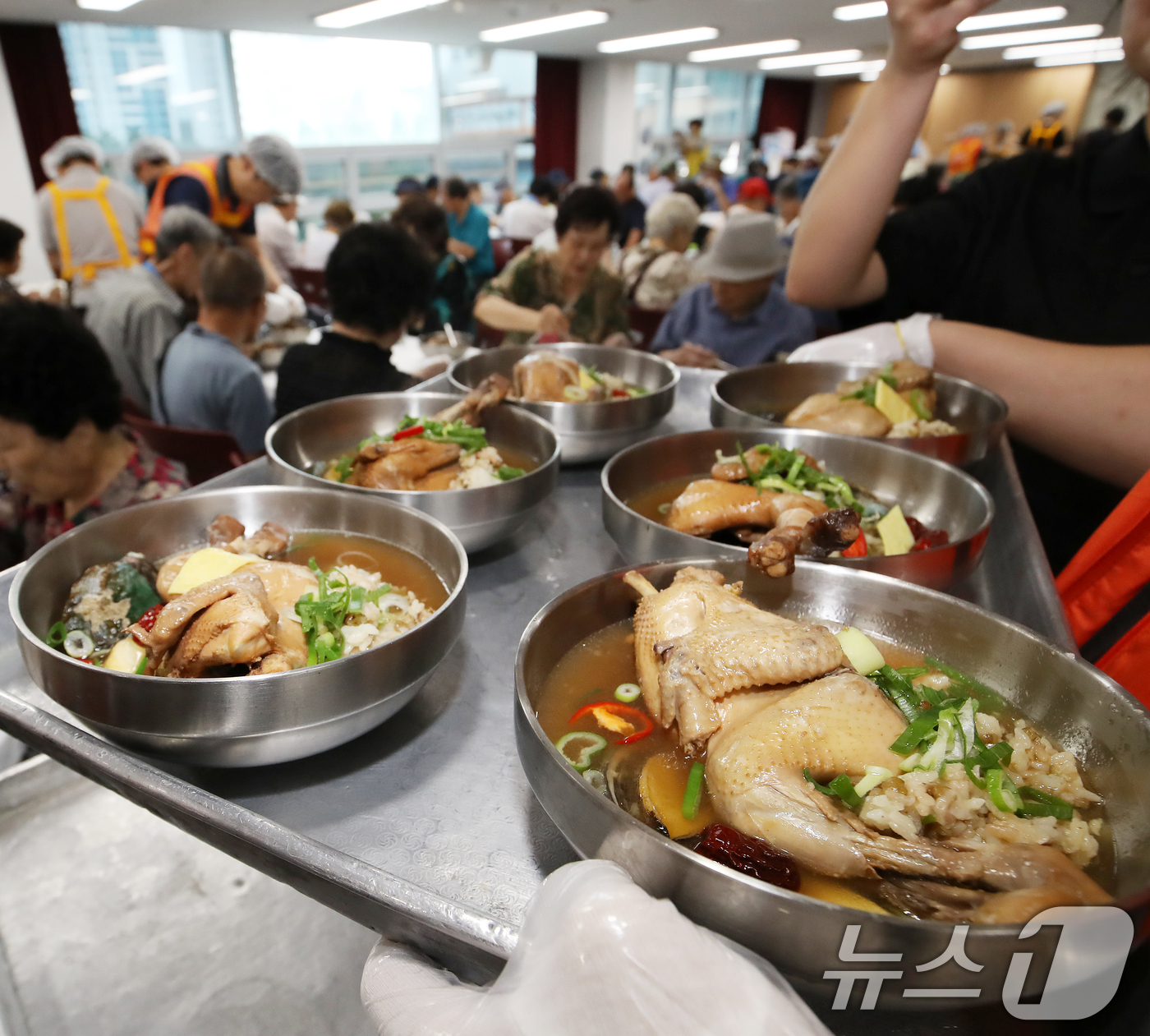 (부산=뉴스1) 윤일지 기자 = 초복을 이틀 앞둔 13일 부산 부산진구노인장애인복지관에서 열린 '제11회 초복맞이 1만그릇 삼계탕 나눔' 행사에서 자원봉사자들이 어르신들에게 삼계탕 …
