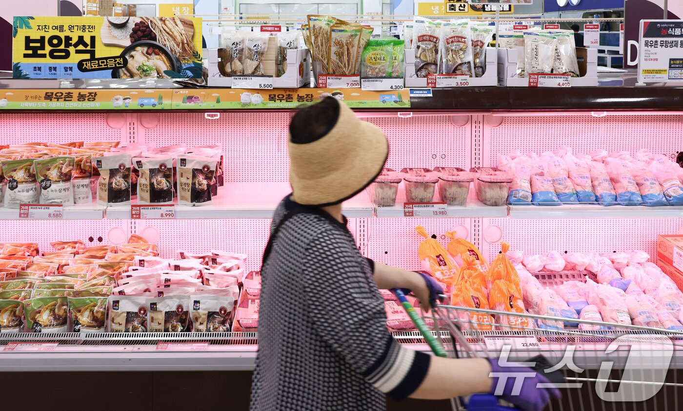 본문 이미지 - 서울 소재 한 마트에서 한 소비자가 장을 보고 있다. ⓒ 뉴스1 