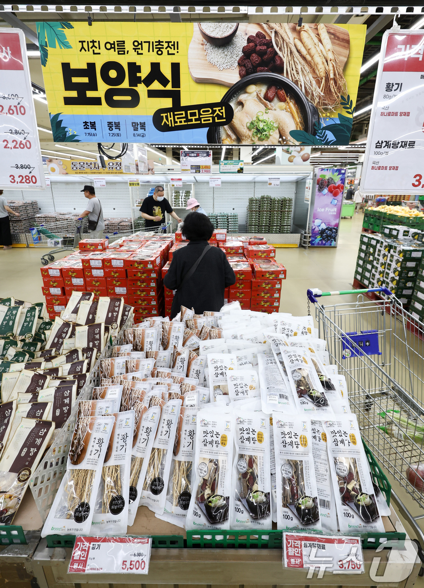 (서울=뉴스1) 최지환 기자 = 초복(15일)을 앞둔 13일 서울 서초구 하나로마트 양재점에  삼계탕 재료가 진열되어 있다.하나로마트를 운영하는 농협 유통은 초복을 앞두고 통닭, …