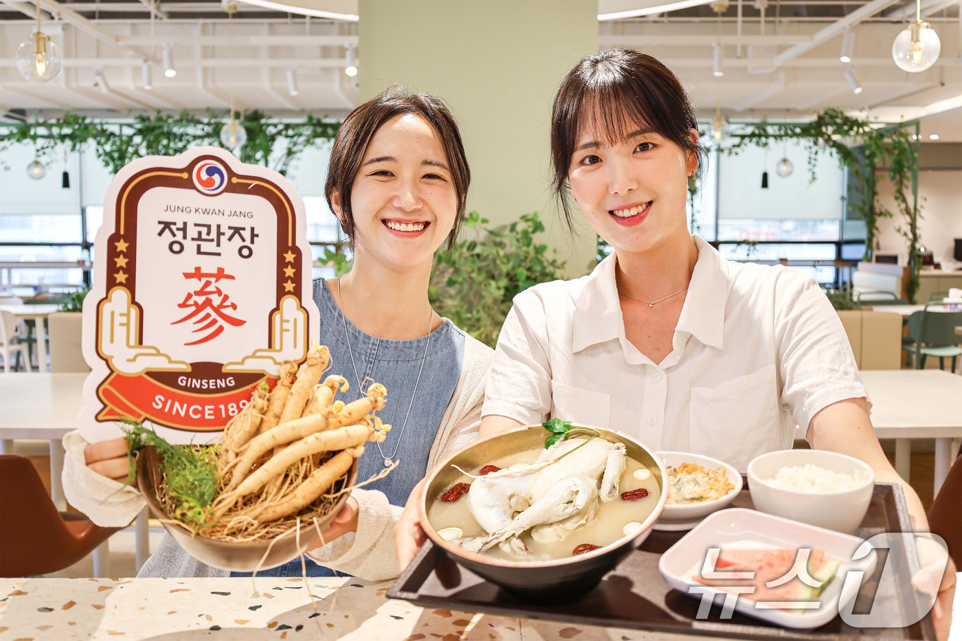 (서울=뉴스1) = 현대그린푸드는 초복을 맞아 전국 단체급식 사업장에서 KGC의 인·홍삼 전문 브랜드 정관장과 협업해 개발한 홍삼삼계탕 등 특식 메뉴를 운영한다고 14일 밝혔다.현 …