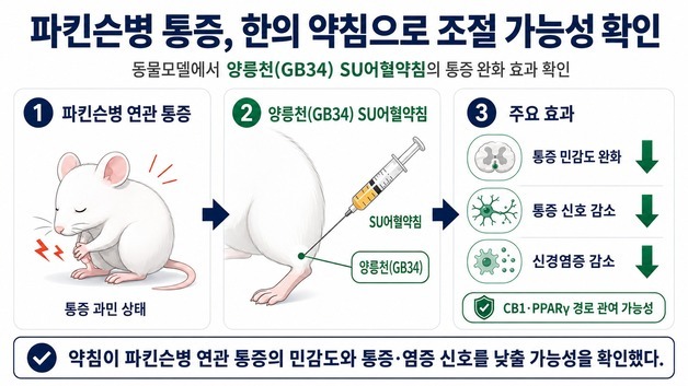 파키슨병 통증, 한의 약침으로 조절 가능성 확인