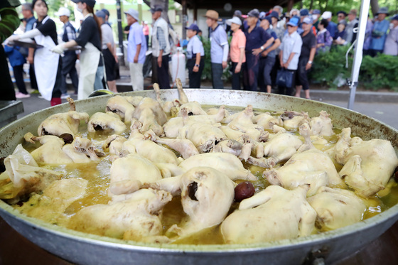 "초복엔 삼계탕"…대구 두류공원 '사랑해밥차' 1500명 오픈런