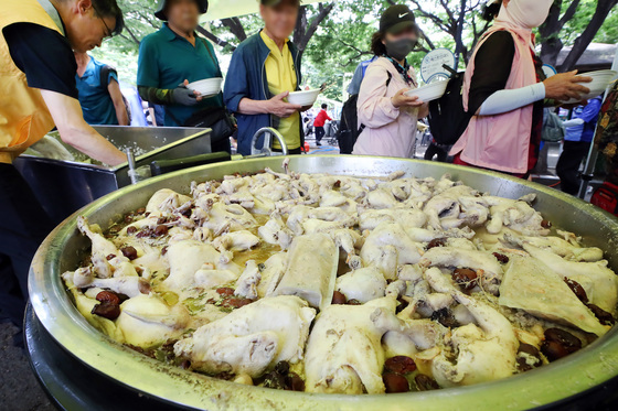 초복 삼계탕처럼 뜨거운 온정