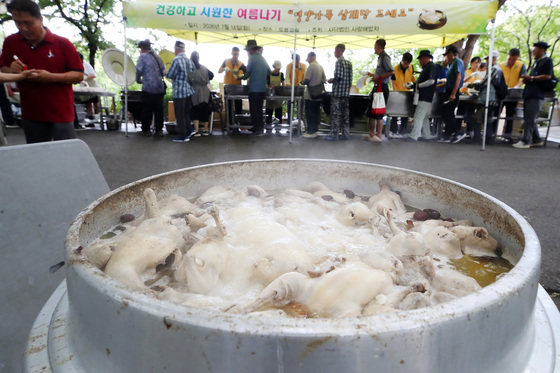 초복 삼계탕처럼 뜨거운 온정