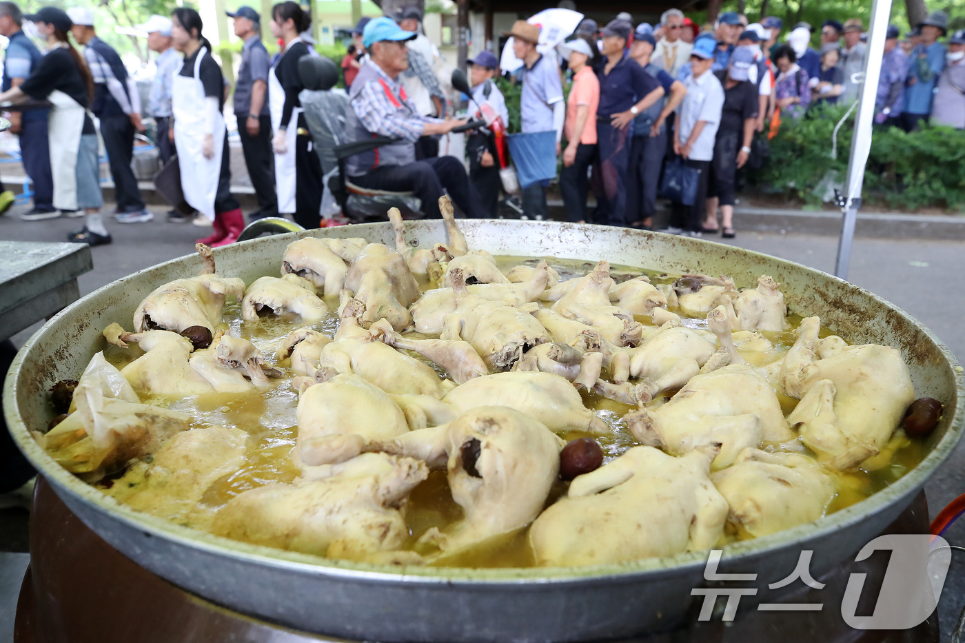 (대구=뉴스1) 공정식 기자 = 삼복더위 시작을 알리는 초복을 하루 앞둔 14일 대구 달서구 두류공원 사랑해밥차 무료급식소에서 삼계탕을 점심으로 제공하자 시민들이 줄지어 배식을 받 …