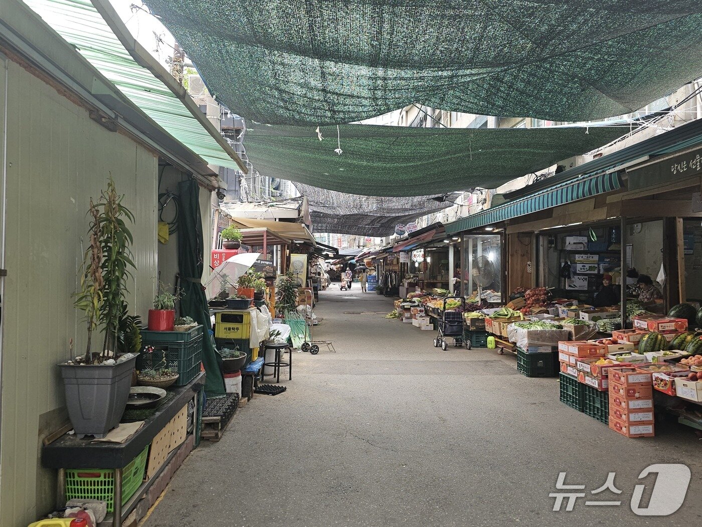 본문 이미지 - 14일 서울 마포구 공덕시장이 무더운 날씨에 한산한 모습을 보이고 있다. 2026.7.14 ⓒ 뉴스1 정지윤 기자