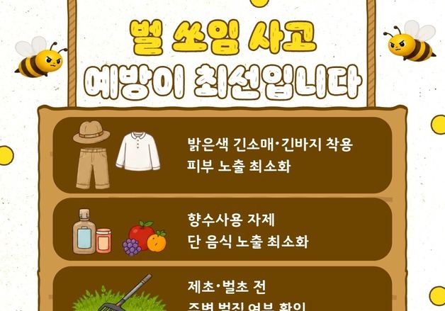최근 3년6개월 벌 관련 신고 8만3천건…강원소방, 야외활동 주의 당부