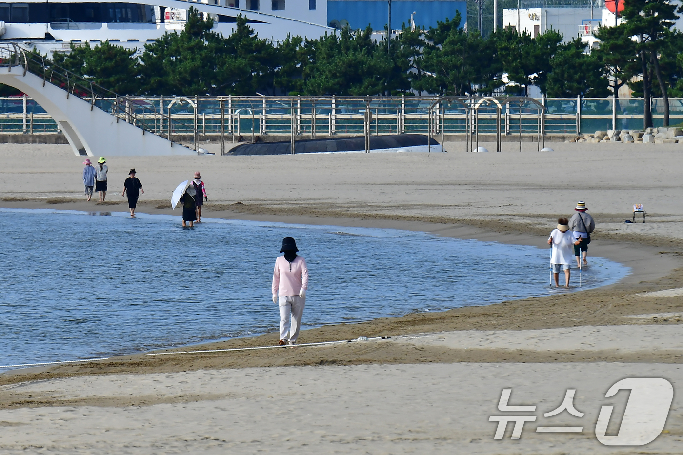 (포항=뉴스1) 최창호 기자 = 경북 포항시 전역에 폭염특보가 발령된 15일 오전 아침 산책을 나온 시민들이 북구 영일대해수욕장에서 맨발 걷기를 하고 있다. 이날 오전 8시 현재 …