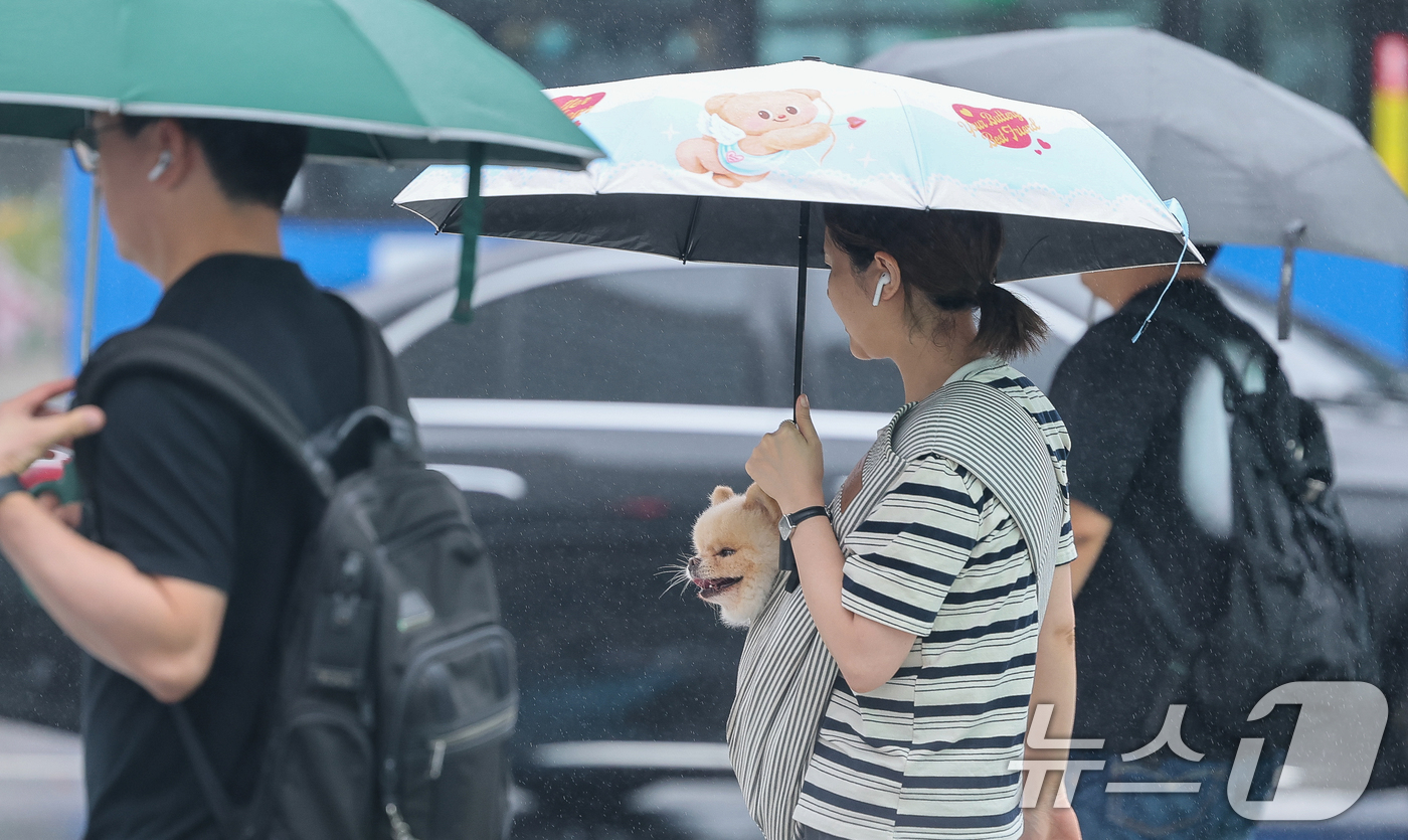 (서울=뉴스1) 안은나 기자 = 수도권에 100㎜의 비가 예보되는 등 전국에 장맛비가 내리는 15일 오전 서울 종로구 세종대로 사거리에서 이동가방에 담긴 반려견이 풍경을 감상하고 …