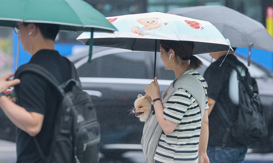 비와도 행복한 댕댕이