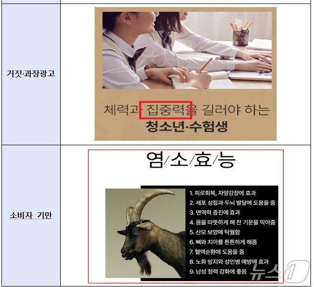 본문 이미지 - 온라인 부당광고 주요 적발 사례.(식품의약품안전처 제공)