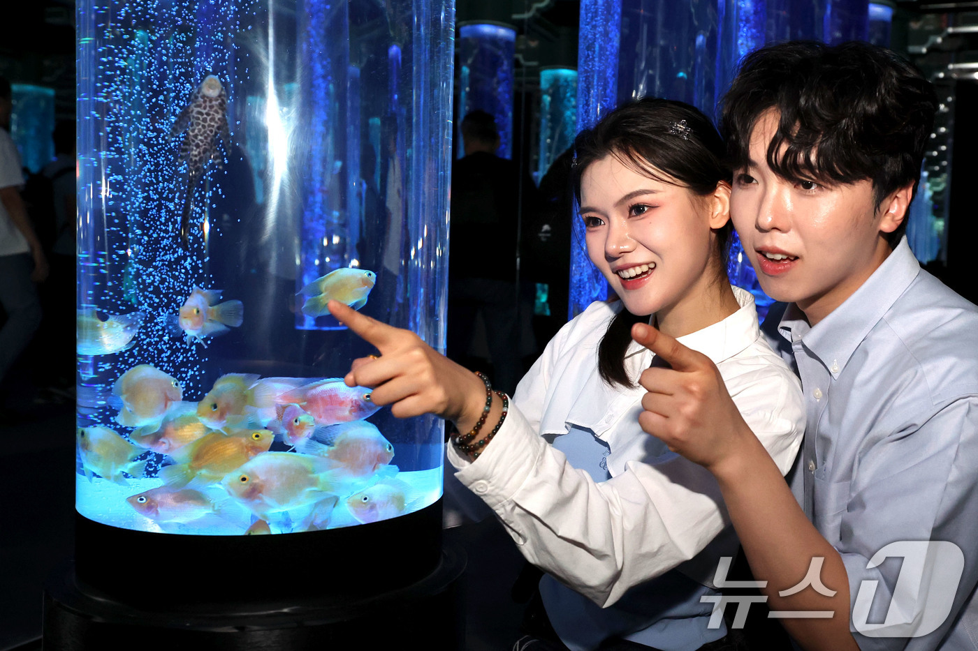 (서울=뉴스1) 이종수 기자 = 15일 서울 송파구 롯데월드 아쿠아리움에서 모델들이 ‘아쿠아 갤러리: 물빛정원’을 관람하고 있다. '아쿠아 갤러리: 물빛정원'은 지하 2층 해파리 …