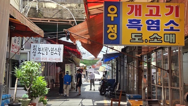 개식용종식법 시행 앞둔 마지막 초복…대구 칠성개시장엔 적막감만