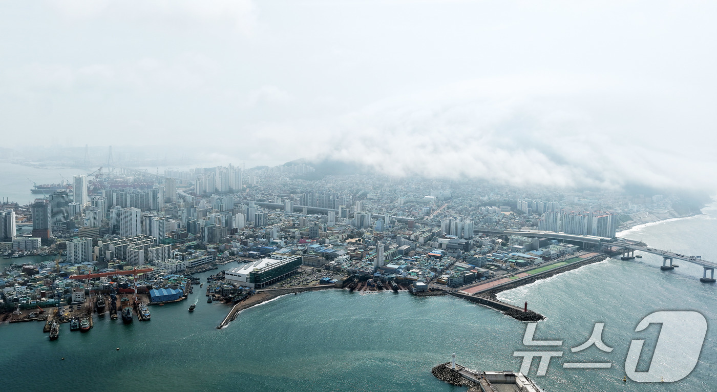 (부산=뉴스1) 윤일지 기자 = 부산에 폭염주의보가 발효 중인 15일 부산 영도구 봉래산 일대에 짙은 해무(바다 안개)가 뒤덮여 이색적인 풍경을 연출하고 있다. 2026.7.15/ …