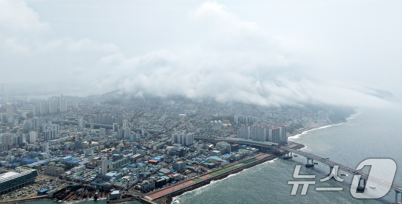 (부산=뉴스1) 윤일지 기자 = 부산에 폭염주의보가 발효 중인 15일 부산 영도구 봉래산 일대에 짙은 해무(바다 안개)가 뒤덮여 이색적인 풍경을 연출하고 있다. 2026.7.15/ …