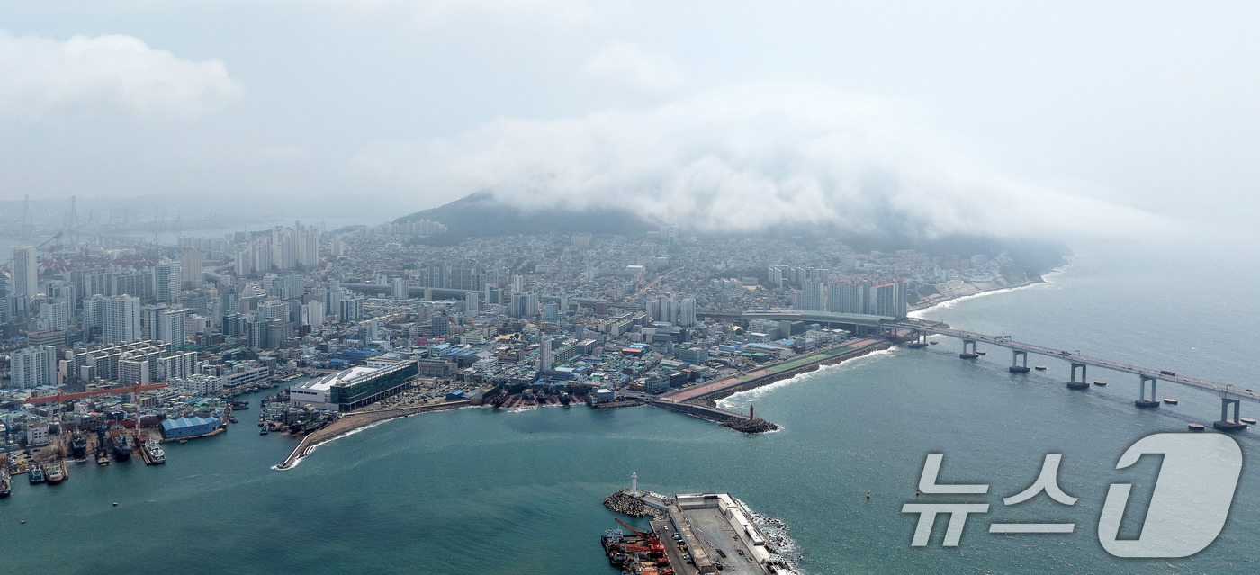 (부산=뉴스1) 윤일지 기자 = 부산에 폭염주의보가 발효 중인 15일 부산 영도구 봉래산 일대에 짙은 해무(바다 안개)가 뒤덮여 이색적인 풍경을 연출하고 있다. 2026.7.15/ …