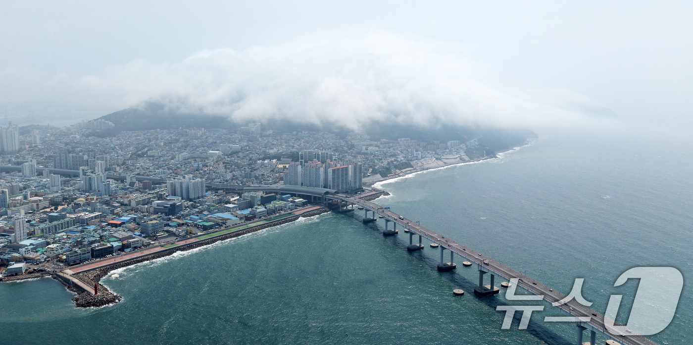 (부산=뉴스1) 윤일지 기자 = 부산에 폭염주의보가 발효 중인 15일 부산 영도구 봉래산 일대에 짙은 해무(바다 안개)가 뒤덮여 이색적인 풍경을 연출하고 있다. 2026.7.15/ …