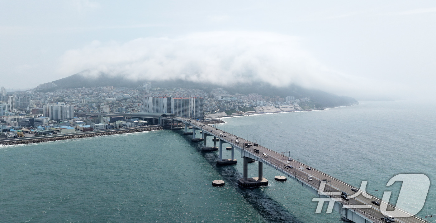 (부산=뉴스1) 윤일지 기자 = 부산에 폭염주의보가 발효 중인 15일 부산 영도구 봉래산 일대에 짙은 해무(바다 안개)가 뒤덮여 이색적인 풍경을 연출하고 있다. 2026.7.15/ …