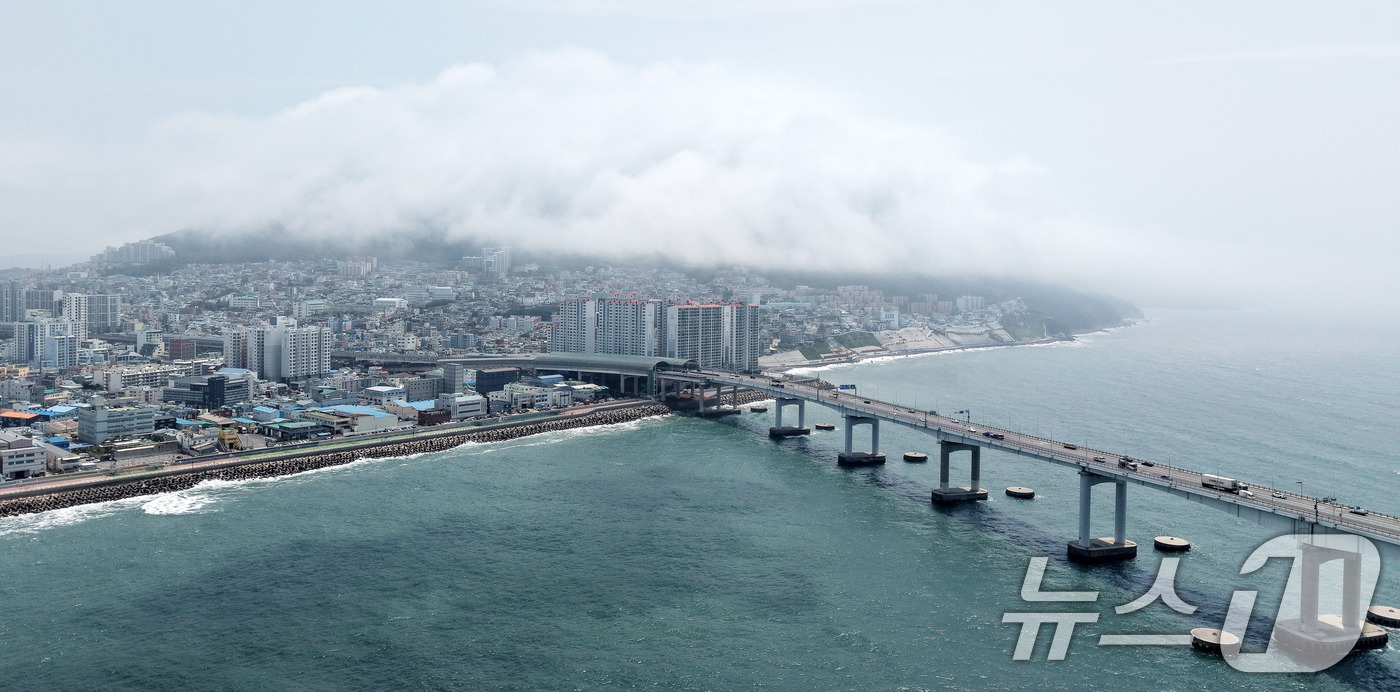 (부산=뉴스1) 윤일지 기자 = 부산에 폭염주의보가 발효 중인 15일 부산 영도구 봉래산 일대에 짙은 해무(바다 안개)가 뒤덮여 이색적인 풍경을 연출하고 있다. 2026.7.15/ …