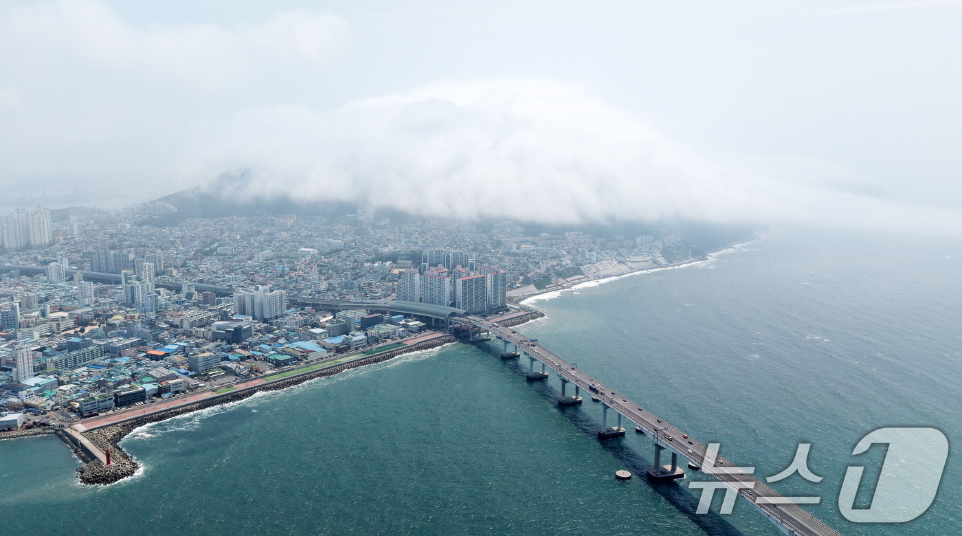(부산=뉴스1) 윤일지 기자 = 부산에 폭염주의보가 발효 중인 15일 부산 영도구 봉래산 일대에 짙은 해무(바다 안개)가 뒤덮여 이색적인 풍경을 연출하고 있다. 2026.7.15/ …