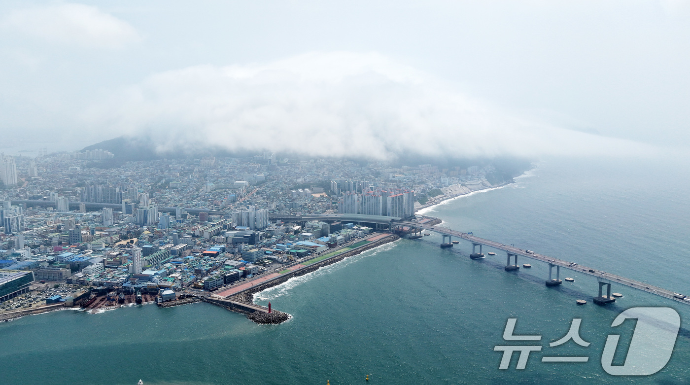 (부산=뉴스1) 윤일지 기자 = 부산에 폭염주의보가 발효 중인 15일 부산 영도구 봉래산 일대에 짙은 해무(바다 안개)가 뒤덮여 이색적인 풍경을 연출하고 있다. 2026.7.15/ …
