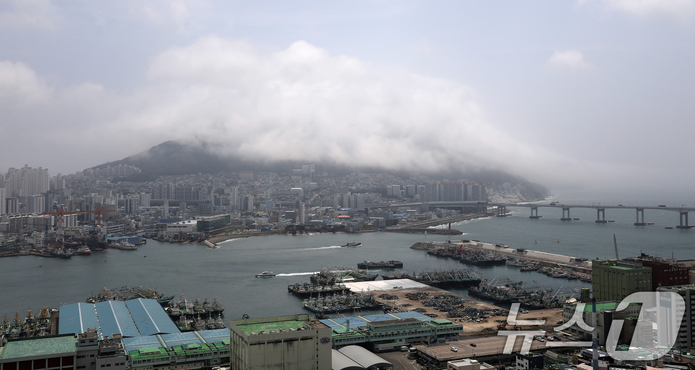 (부산=뉴스1) 윤일지 기자 = 부산에 폭염주의보가 발효 중인 15일 부산 영도구 봉래산 일대에 짙은 해무(바다 안개)가 뒤덮여 이색적인 풍경을 연출하고 있다. 2026.7.15/ …
