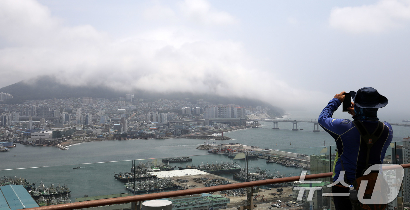 (부산=뉴스1) 윤일지 기자 = 부산에 폭염주의보가 발효 중인 15일 부산 영도구 봉래산 일대에 짙은 해무(바다 안개)가 뒤덮여 이색적인 풍경을 연출하고 있다. 2026.7.15/ …