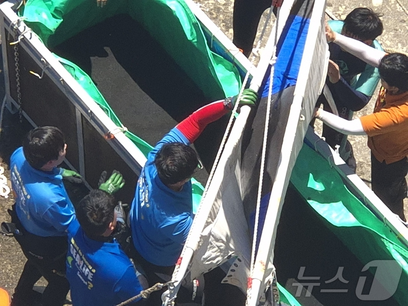 (강릉=뉴스1) 윤왕근 기자 = 15일 오전 강원 강릉항 요트마리나에서 구조팀이 남방큰돌고래 \'안목이\'를 특수 들것으로 옮기고 있다. 구조된 안목이는 울산 장생포로 이송돼 치료 …