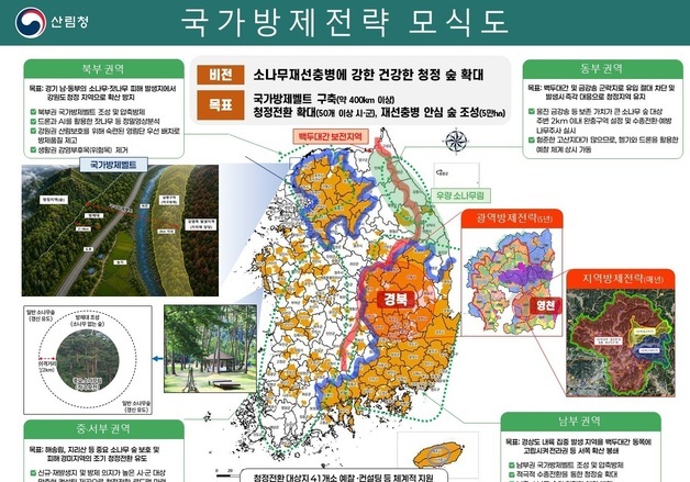 심상치 않은 충남 지역 재선충병…피해목 5000→14만그루