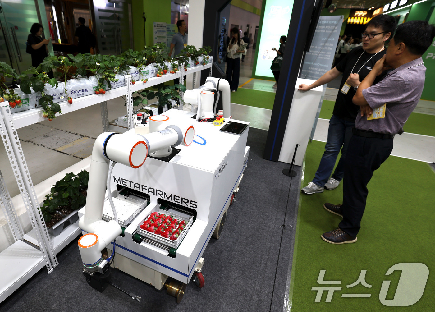 (서울=뉴스1) 이종수 기자 = 15일 서울 강남구 코엑스에서 열린 '2026 농식품 테크 스타트업 창업 박람회'에서 AI로 딸기를 체크해 수확하는 로봇이 시연되고 있다. 2026 …