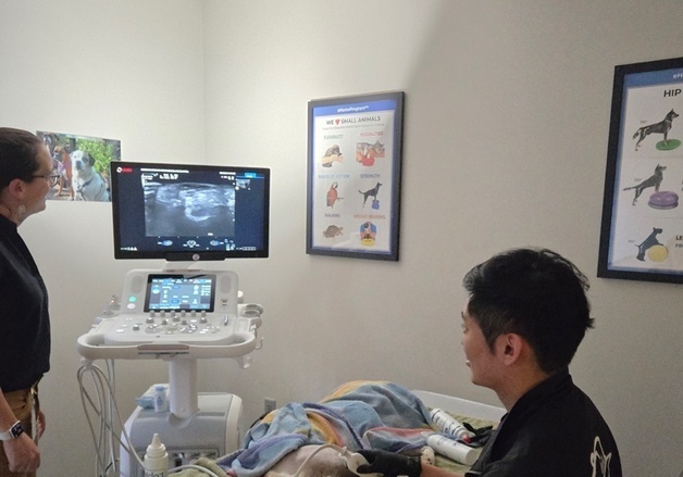 예은동물의료센터, 근골격계 초음파 진단 강화…원인불명 찾는다