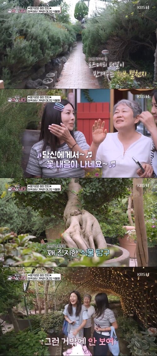 본문 이미지 - KBS 1TV '황신혜의 같이 삽시다' 화면 캡처