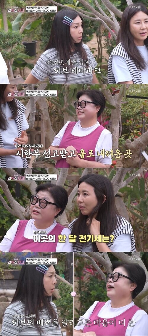 본문 이미지 - KBS 1TV '황신혜의 같이 삽시다' 화면 캡처