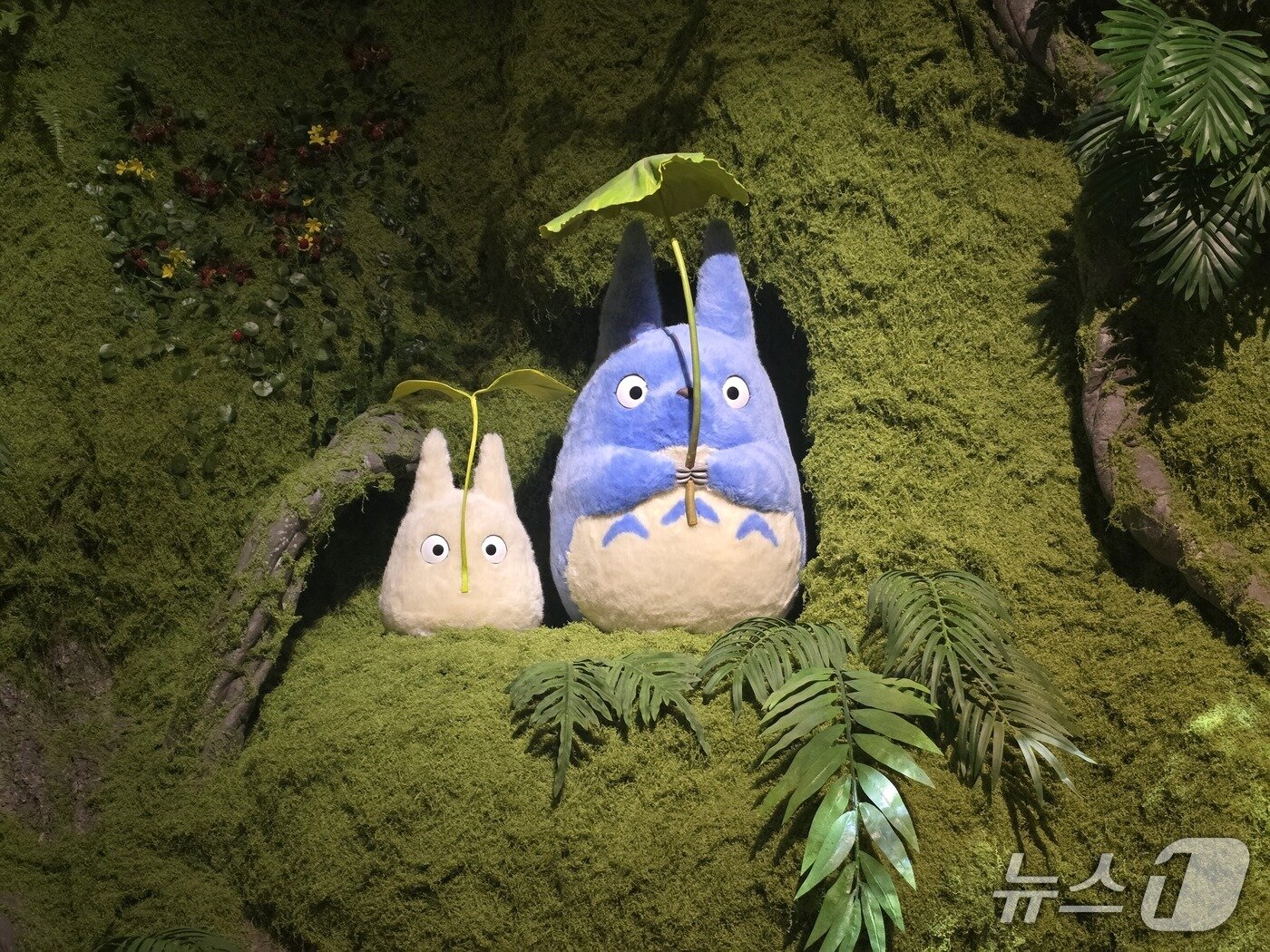 본문 이미지 - '스튜디오 지브리 展 in Jeju' 전시 전경 ⓒ 뉴스1 김정한 기자