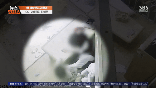뇌종양 3세 원아 때린 교사…"기본도 몰라?" 복지센터 직원에 고성[주간HIT영상]