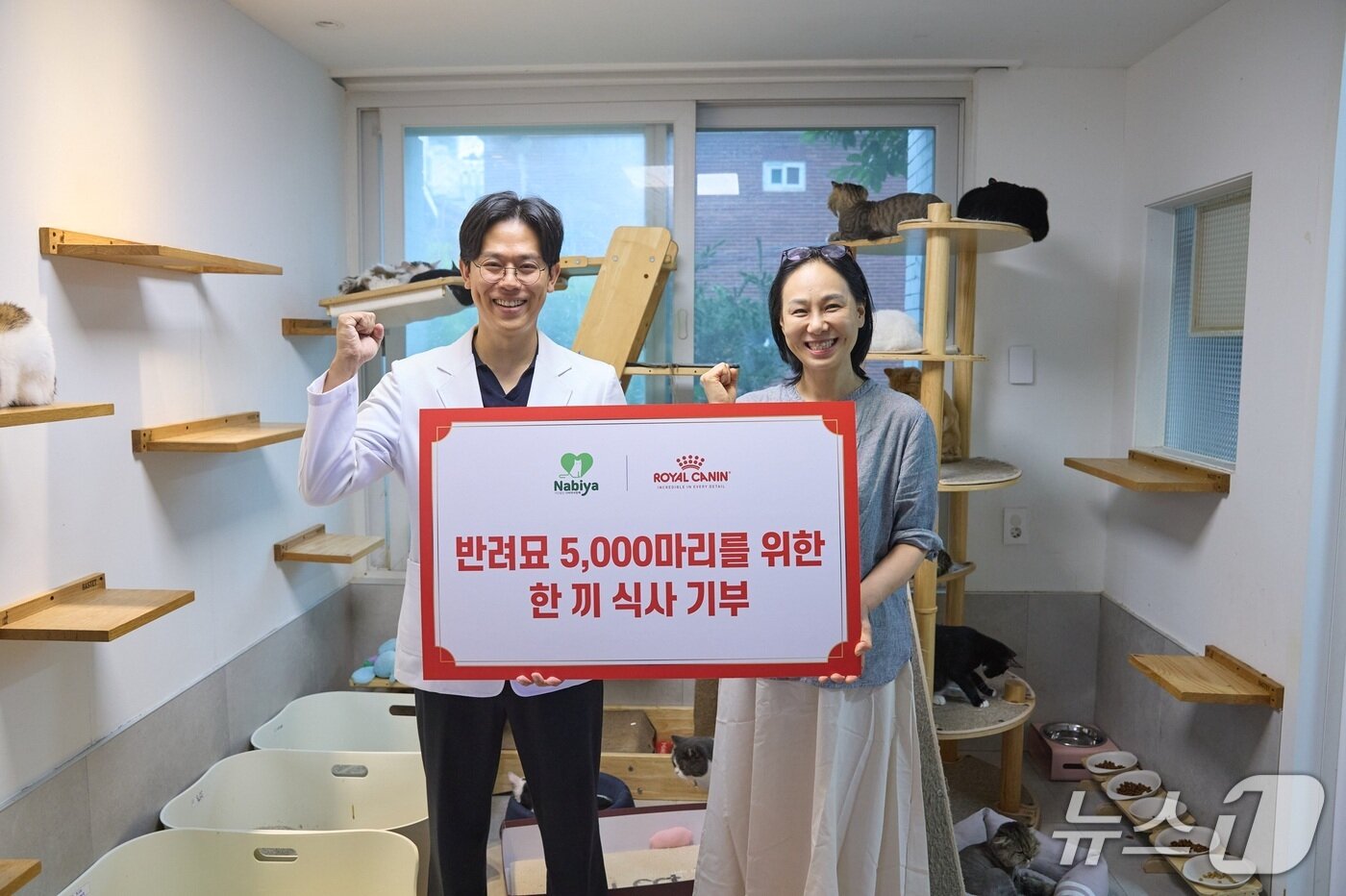 본문 이미지 - 김명철 수의사가 나비야사랑해에 로얄캐닌 사료를 기부하고 있다(로얄캐닌코리아 제공). ⓒ 뉴스1