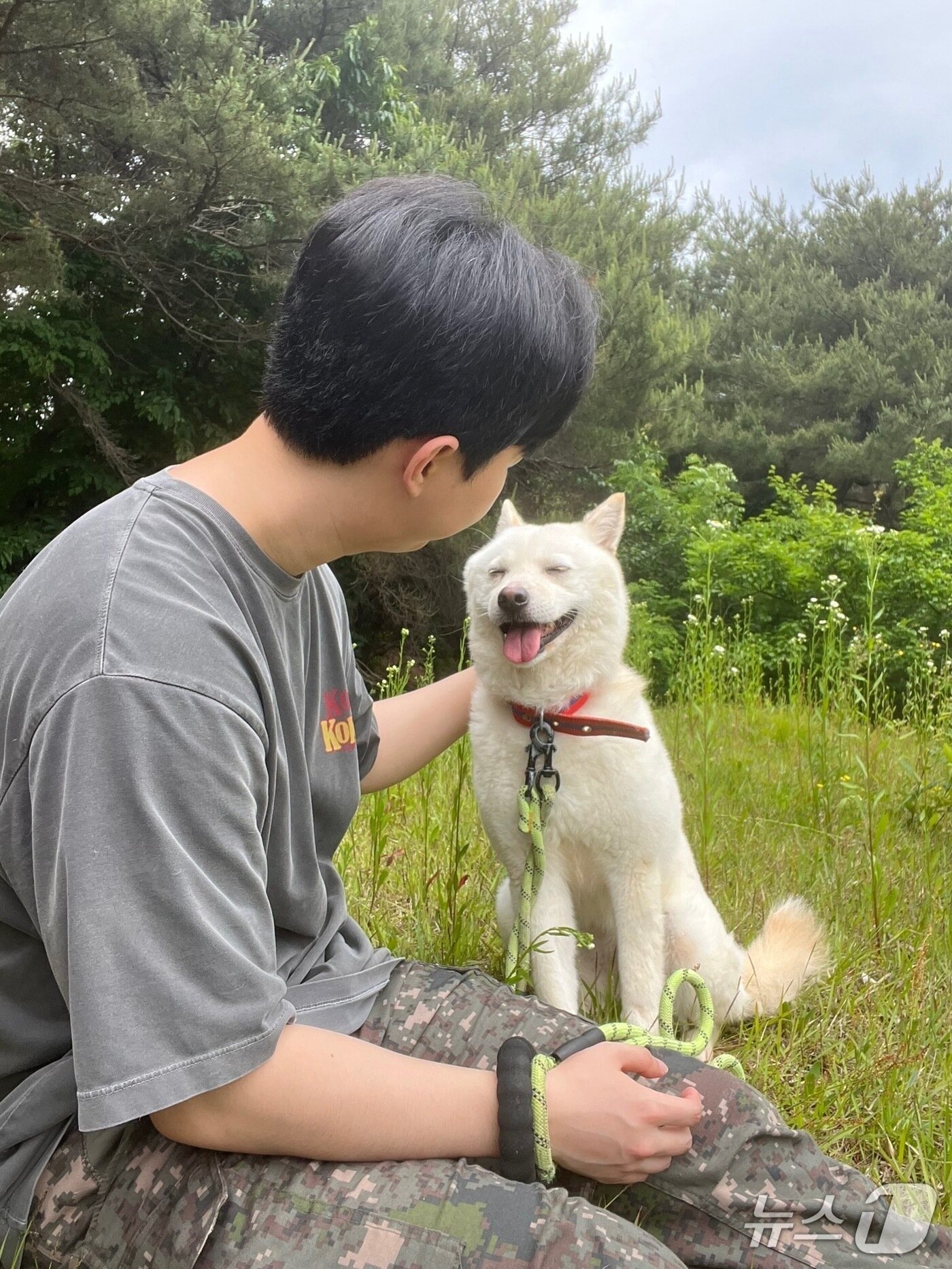 본문 이미지 - 용인시동물보호협회 관계자가 보호하고 있는 유기견과 교감훈련을 하고 있는 모습.(협회측 제공)