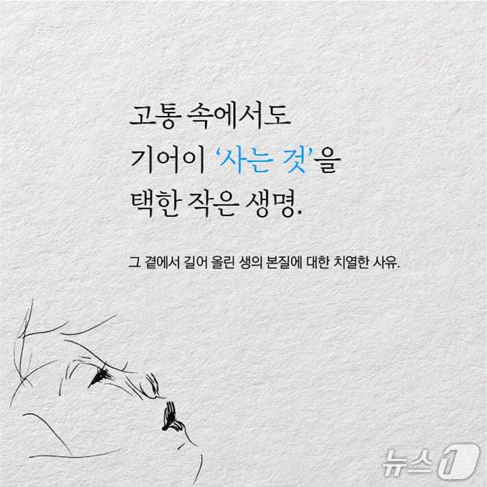 본문 이미지 - 아기가 태어난 지 한 달이 채 되지 않았을 때 의사가 내게 물었다 … 아이의 뇌는 완전히 망가졌습니다. 입으로 먹지 못하고 듣지도 보지도 못합니다. (중략) 아이가 사는 동안 당신이 아이의 손과 발이 되어야 할 것이고, 당신의 삶은 앞으로 집과 병원만 오갈 것입니다. 그럼에도 아이를 살리시겠습니까?