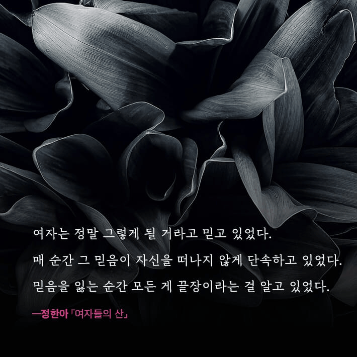 본문 이미지 - [신간] '아무도 미치지 않았다'