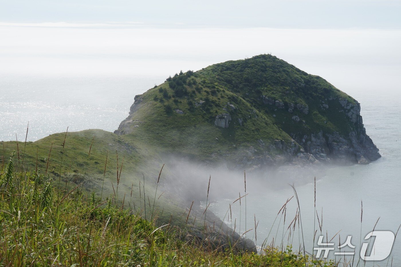 본문 이미지 - '거북바위'라고 불리는 죽도 해안능선. 2026.7.17 뉴스1 ⓒ News1 조영석 기자 