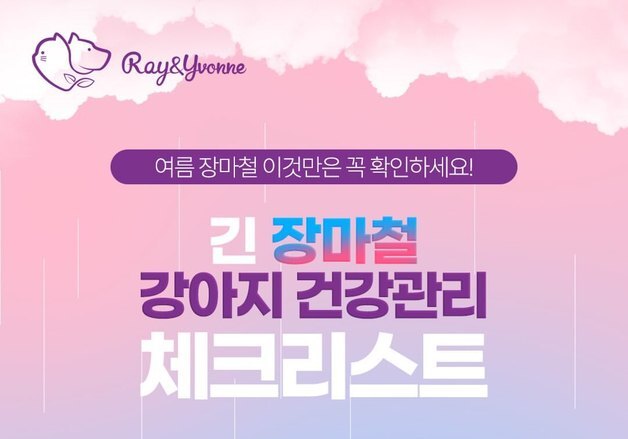 반려견 피부 건강도 '먹는 관리' 시대…장마철 영양관리법