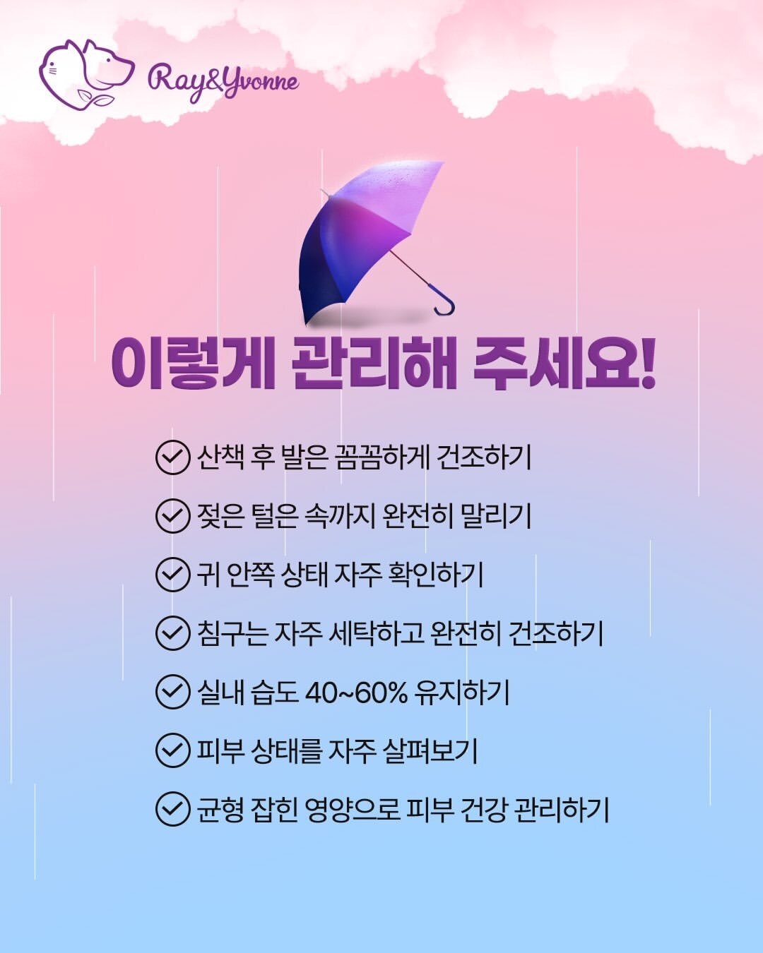 본문 이미지 - 장마철 반려견 피부 관리 체크리스트(업체 제공) ⓒ 뉴스1