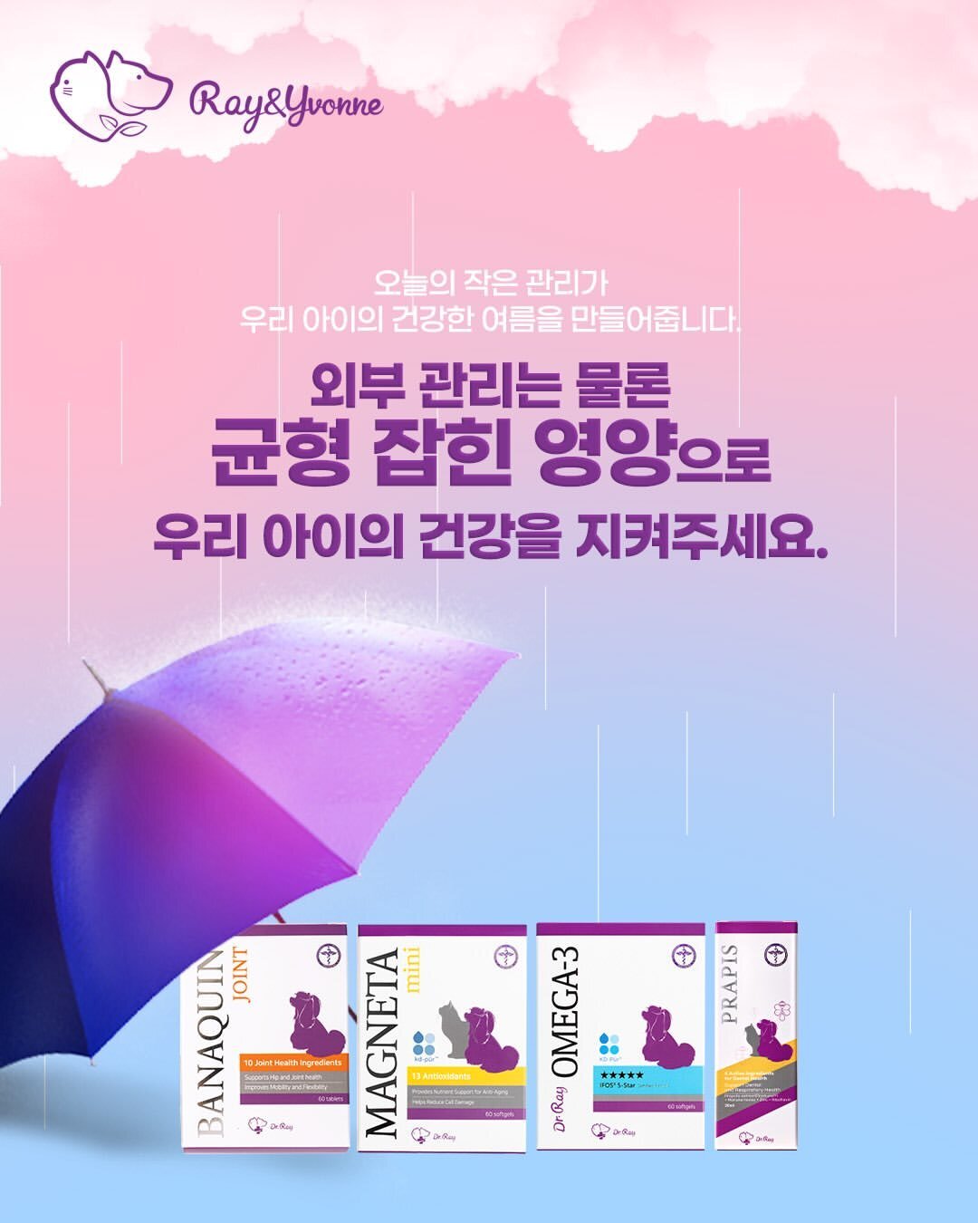 본문 이미지 - 한국반려동물영양연구소는 장마철을 맞아 반려견의 피부 질환 예방을 위한 건강관리 체크리스트와 함께 피부 건강을 위한 영양관리 방법을 소개했다(업체 제공). ⓒ 뉴스1