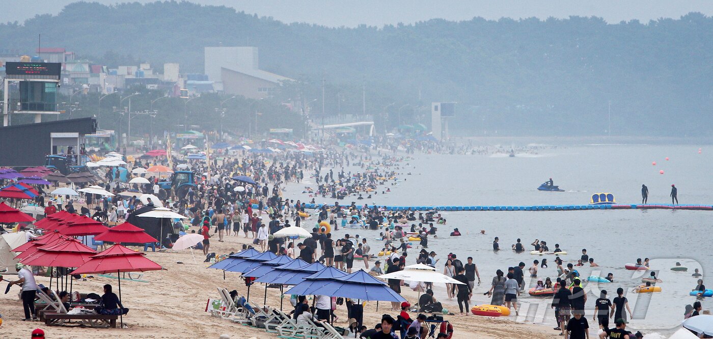 본문 이미지 - 제헌절 연휴 첫날인 17일 충남 보령 대천해수욕장에 많은 인파가 몰려 연휴를 즐기고 있다.(보령시 제공. 재판매 및 DB금지) 2026.7.17 ⓒ 뉴스1 김기태 기자