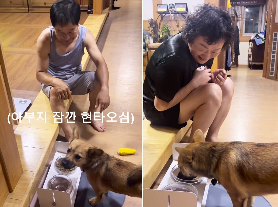 본문 이미지 - 옆에서 지켜봐 줘야 밥 잘 먹는 강아지 '무찌'(인스타그램 muzzi_zzz 제공) ⓒ 뉴스1